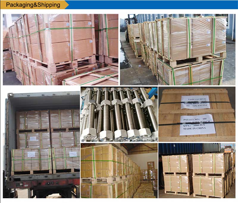 स्टेनलेस-स्टील-सूची-बोल्ट-भाड़-बांधनेवाला पदार्थ-पैकिंग